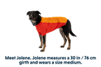 Undercoat™ Dog Water Jacket