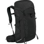 Talon 33