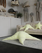 The Starfish