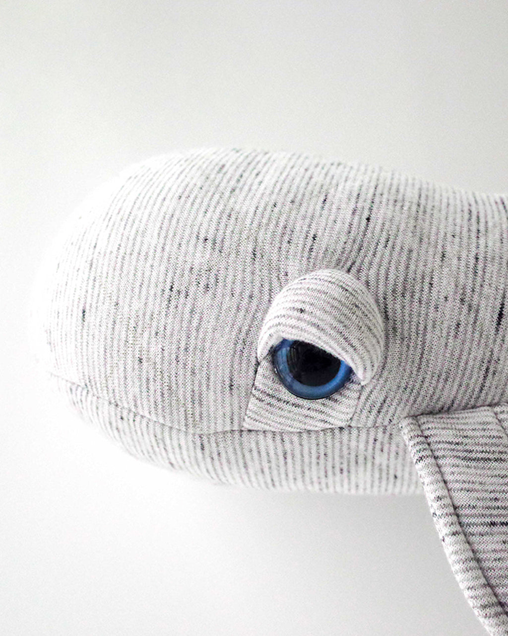 The Mini Whale