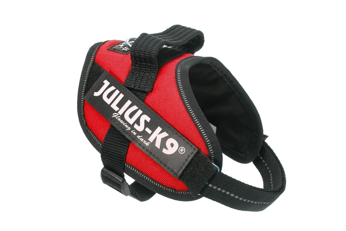 Julius-K9® IDC® Powerharness