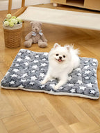 Luxury Plush Pet Blanket, Thick Warm Breathable Soft Comfortable Pet Cat Dog Bed Mat,Machine Washable, Indoor Blanket Suitable For All Sizes Of Pets In Winter
