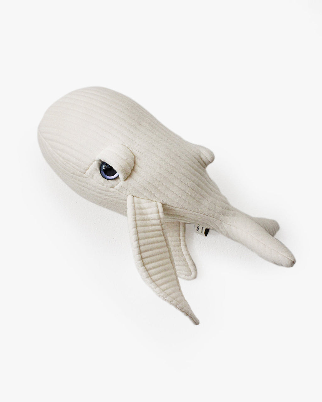 The Mini Whale