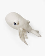 The Mini Whale