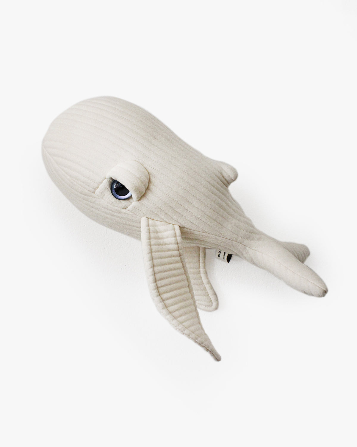 The Mini Whale