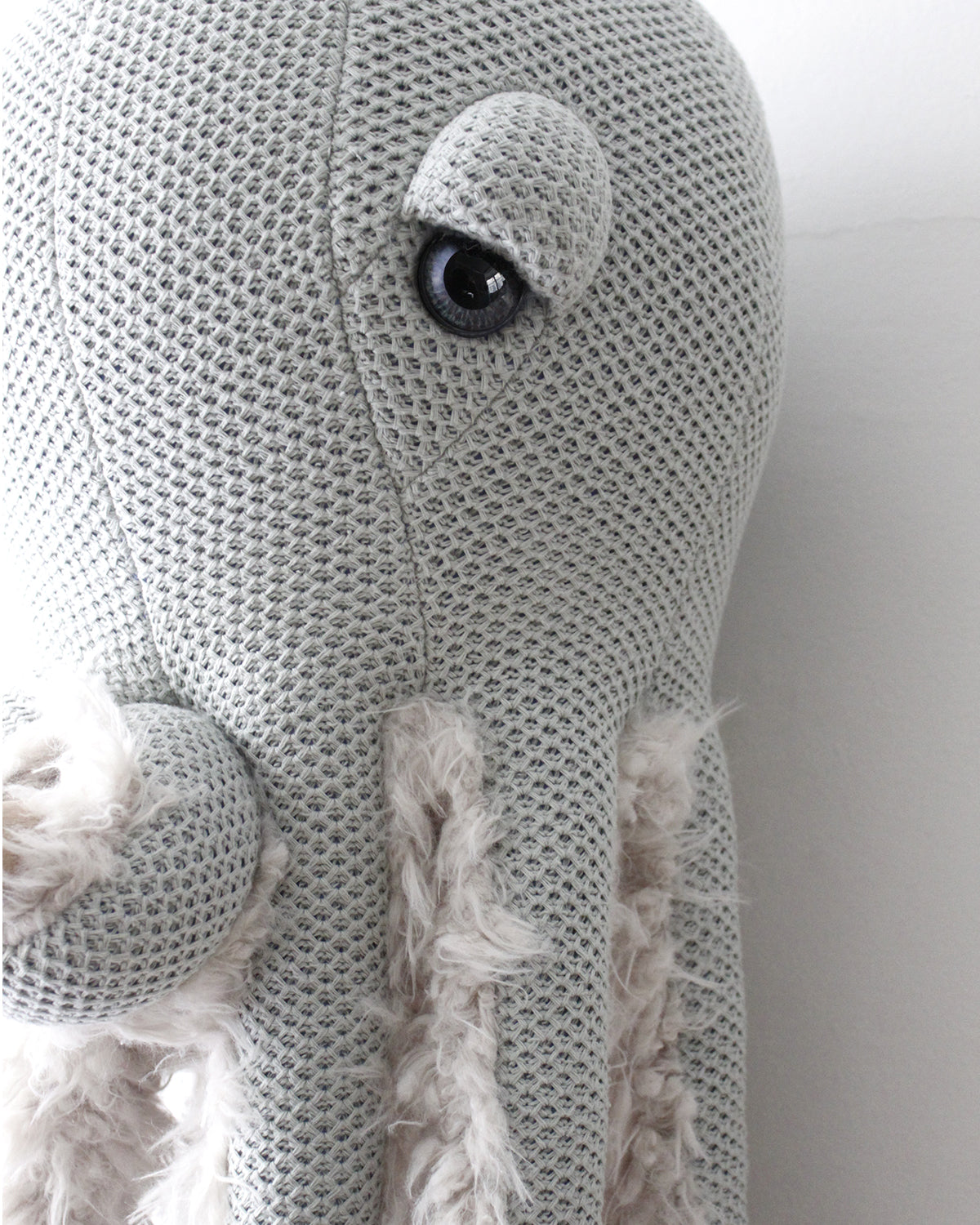 The Octopus