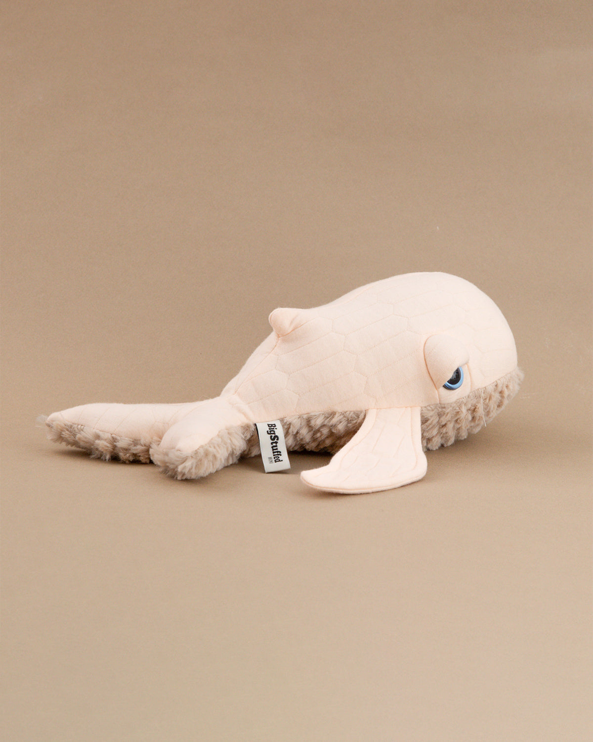 The Mini Whale