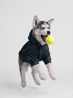 Camo Paw Hoodie