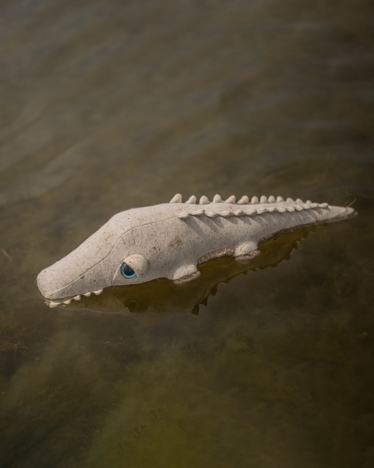 The Mini Crocodile