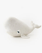 The Beluga