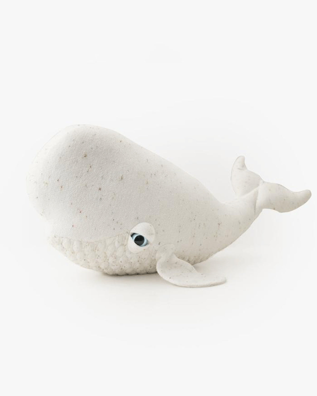 The Beluga