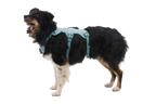 Web Master™ Dog Harness with Handle