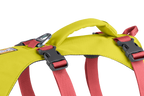 Flagline™ Dog Harness with Handle