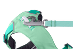Flagline™ Dog Harness with Handle