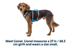 Flagline™ Dog Harness with Handle