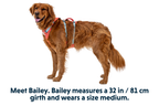 Flagline™ Dog Harness with Handle