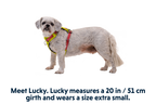 Hi & Light™ Lightweight Dog Harness