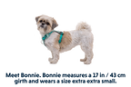 Hi & Light™ Lightweight Dog Harness