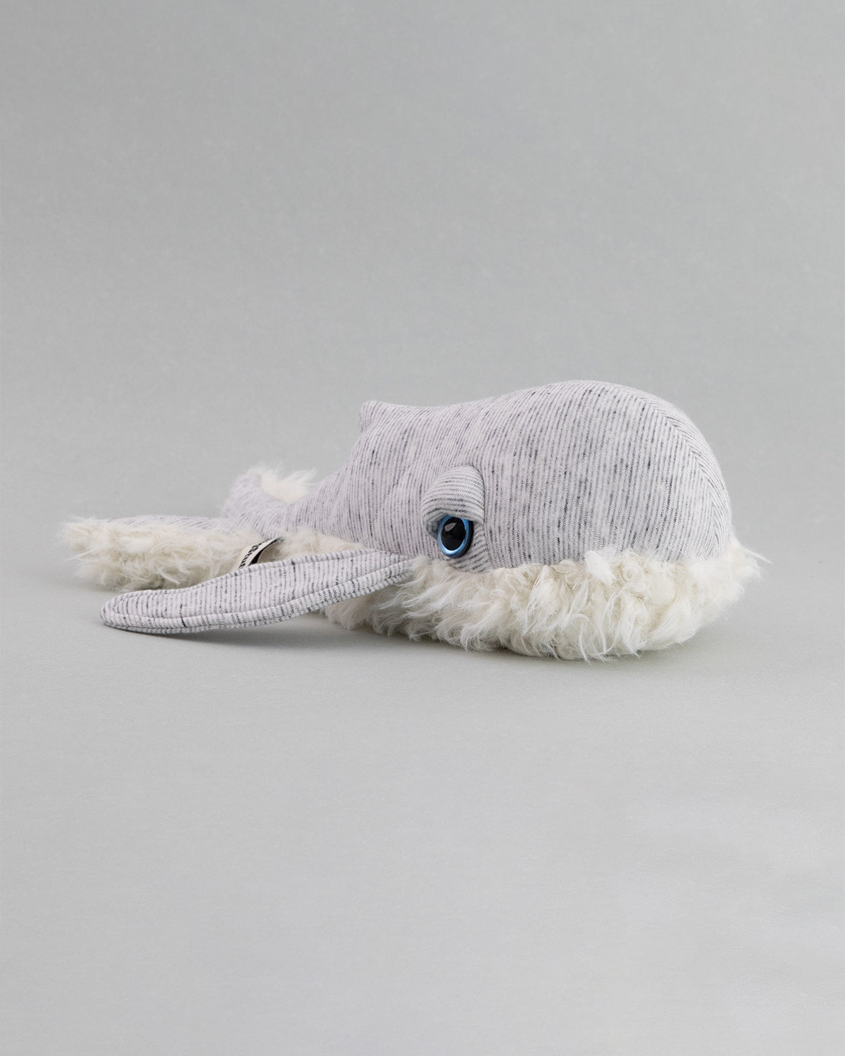 The Mini Whale
