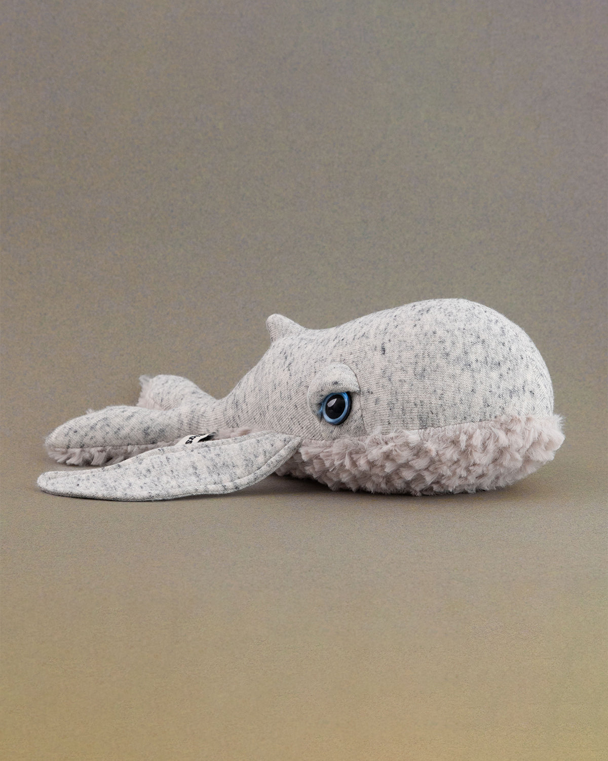 The Mini Whale