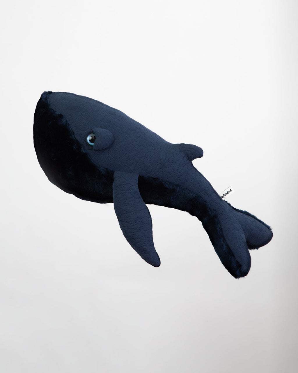 The Whale