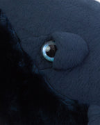 The Whale