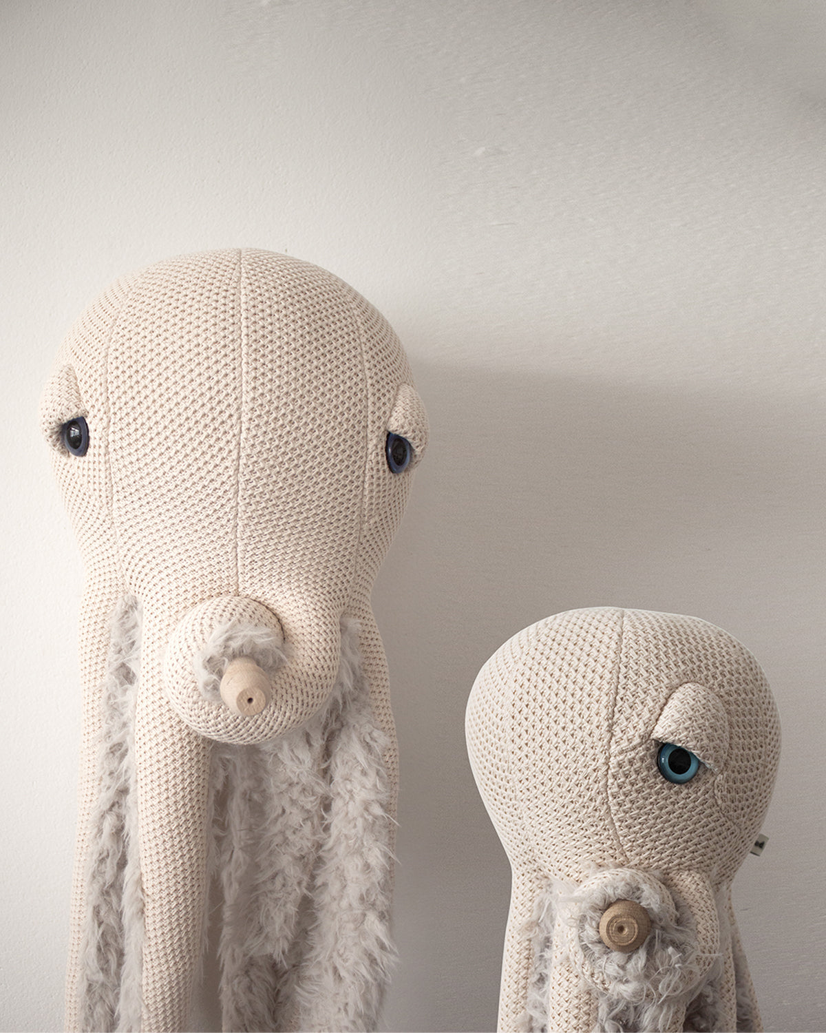 The Octopus