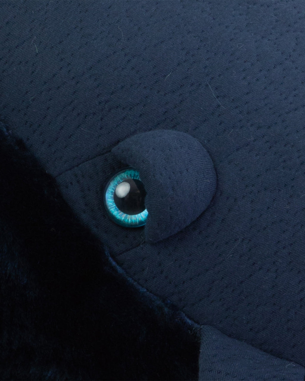 The Whale