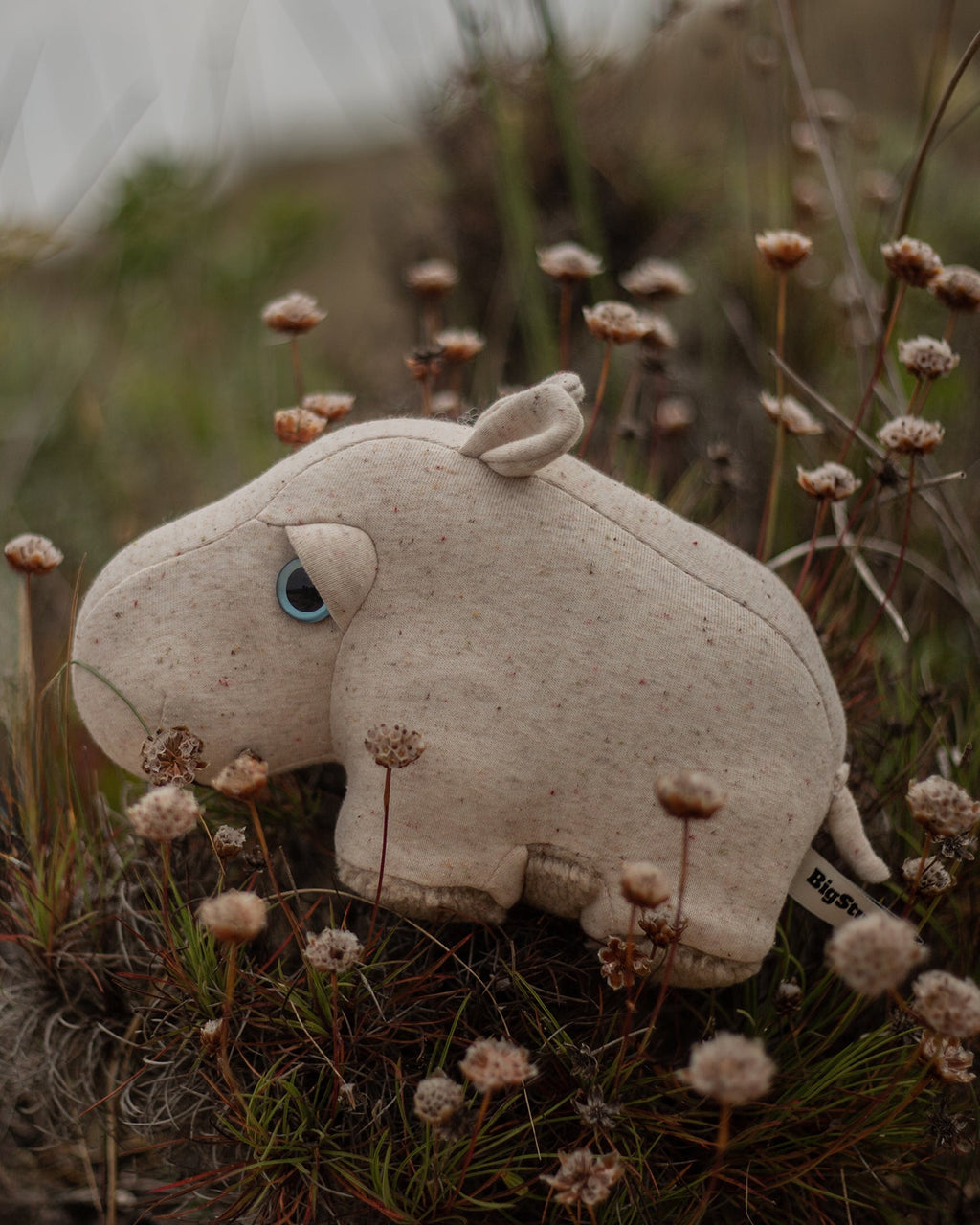 The Mini Hippo