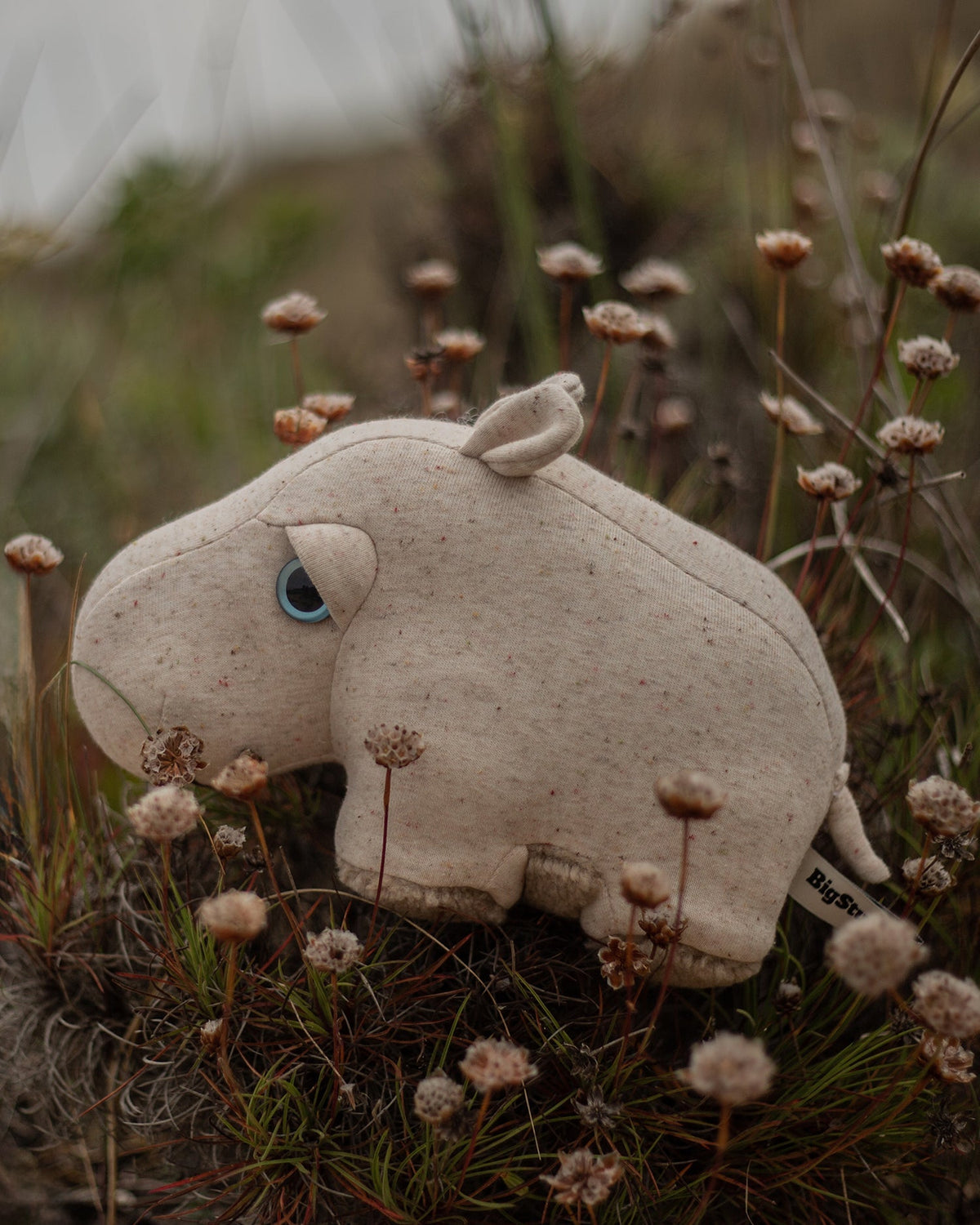 The Mini Hippo