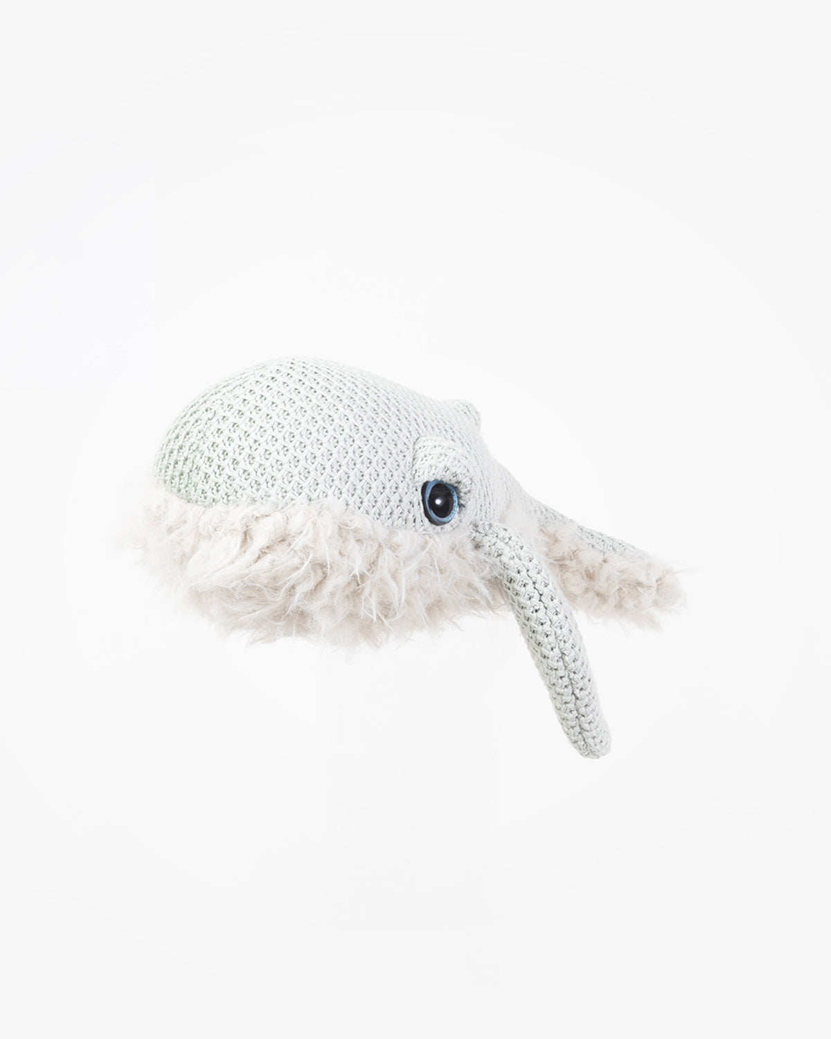 The Mini Whale