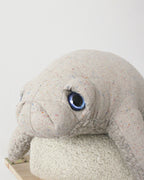 The Manatee