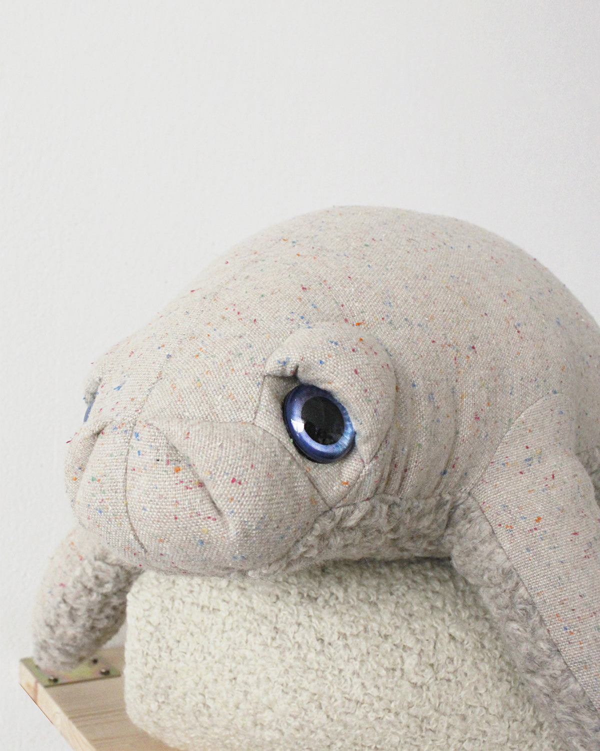 The Manatee