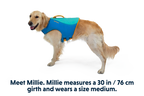 Float Coat™ Dog Life Jacket