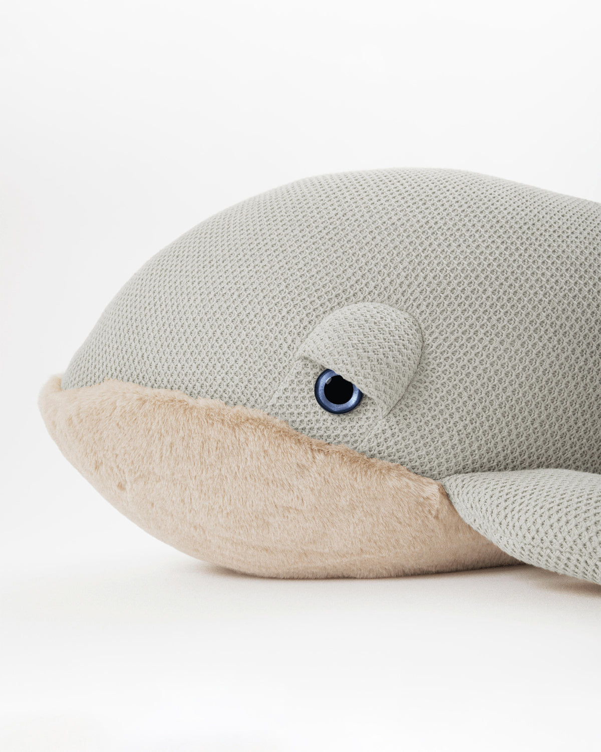 The Giant Whale