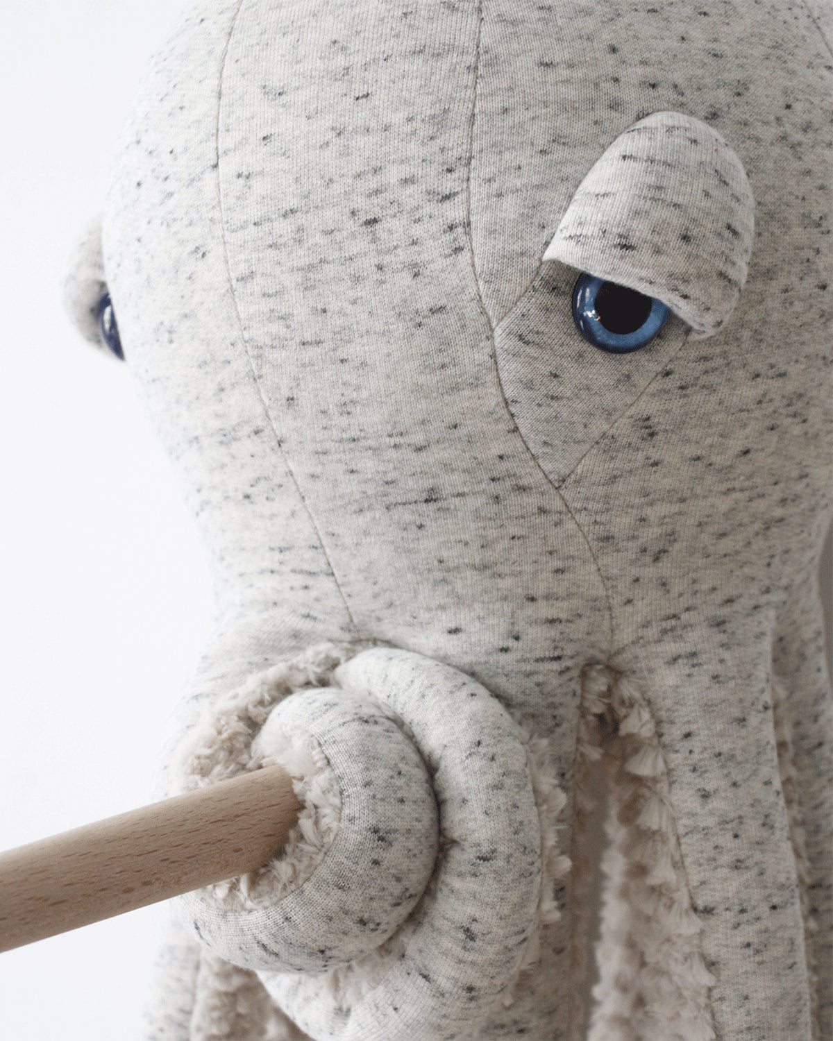 The Octopus