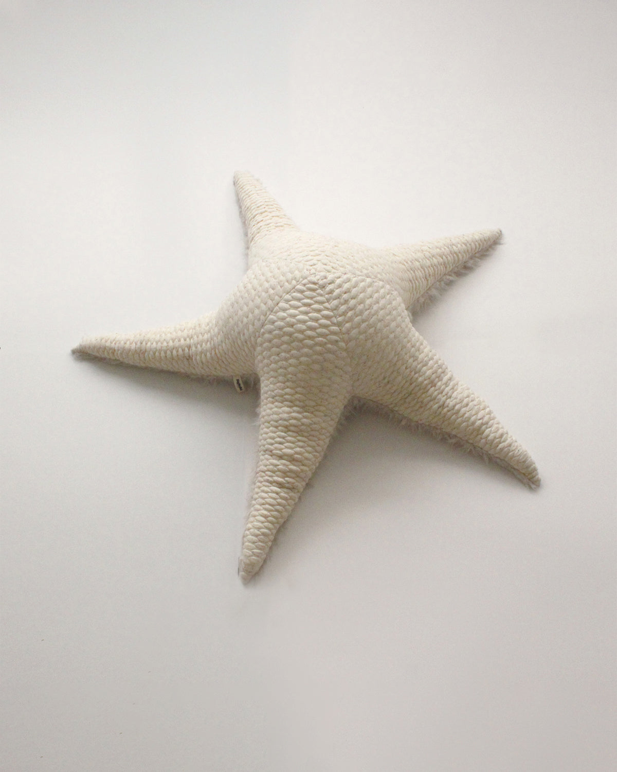 The Starfish