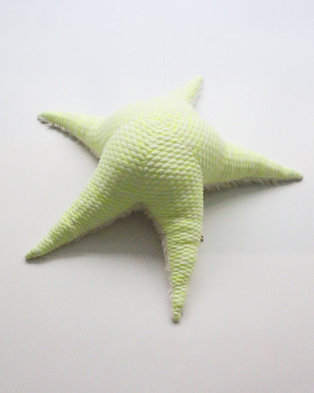The Starfish