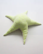 The Starfish