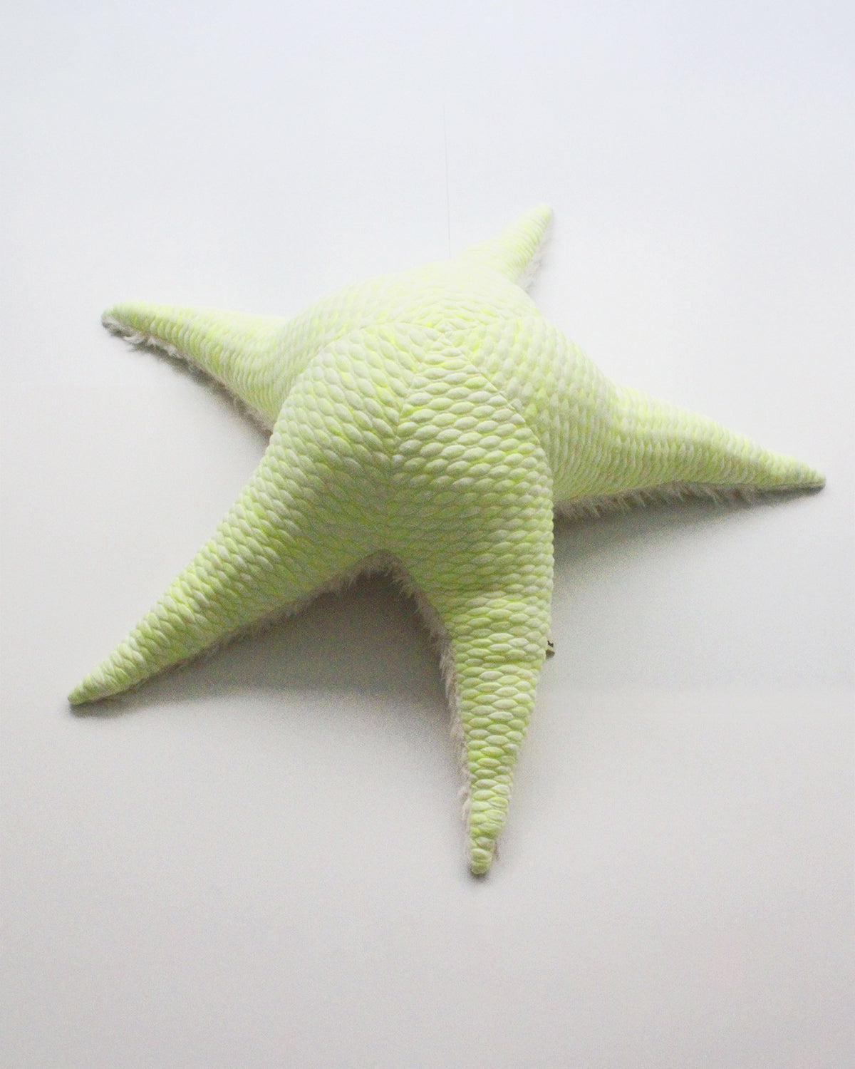 The Starfish