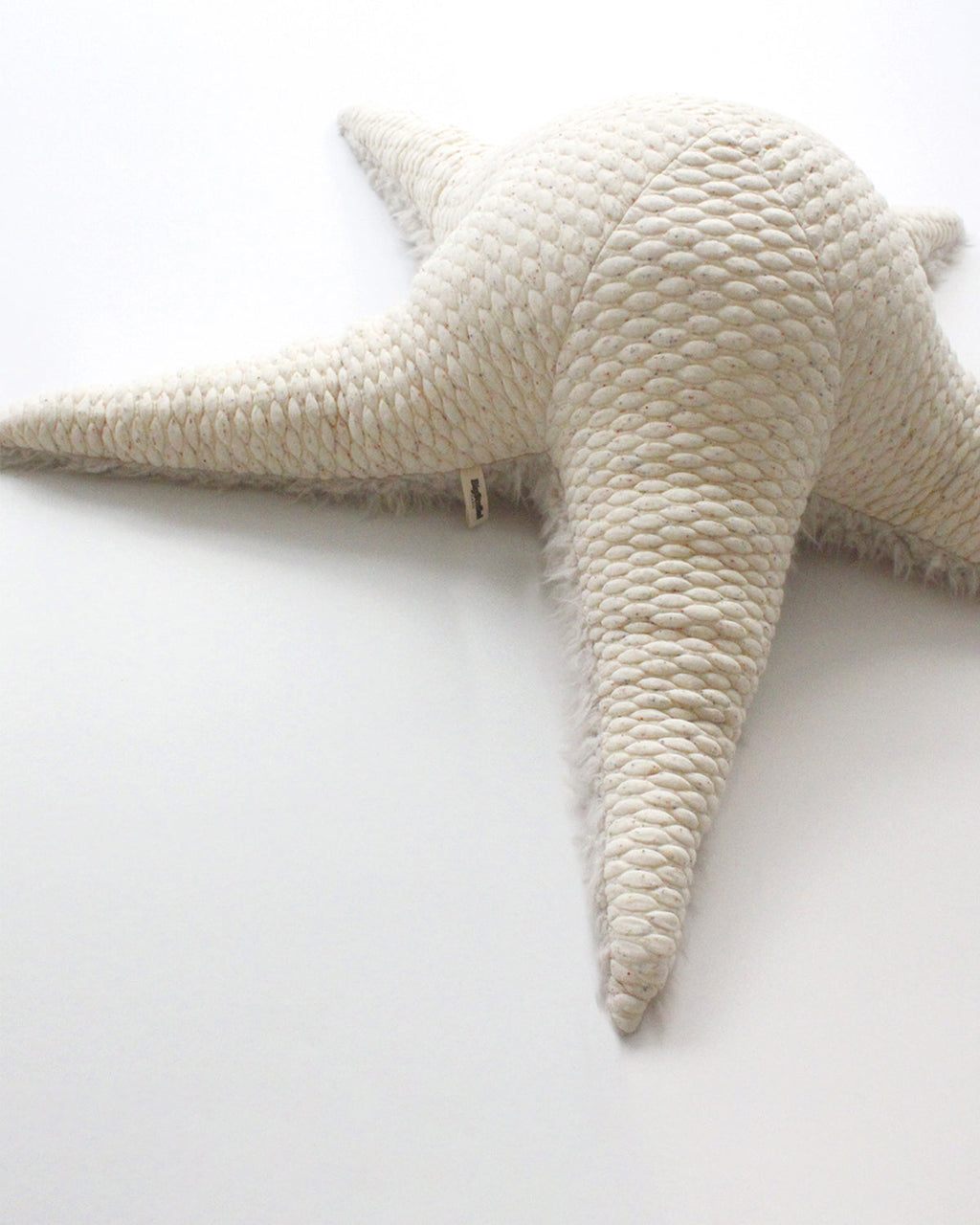 The Starfish