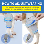 Dog Knee Brace for Torn ACL, Rear Leg Support for Joint Pain Relief and Ligament Injuries, Silver, XL