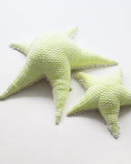 The Starfish