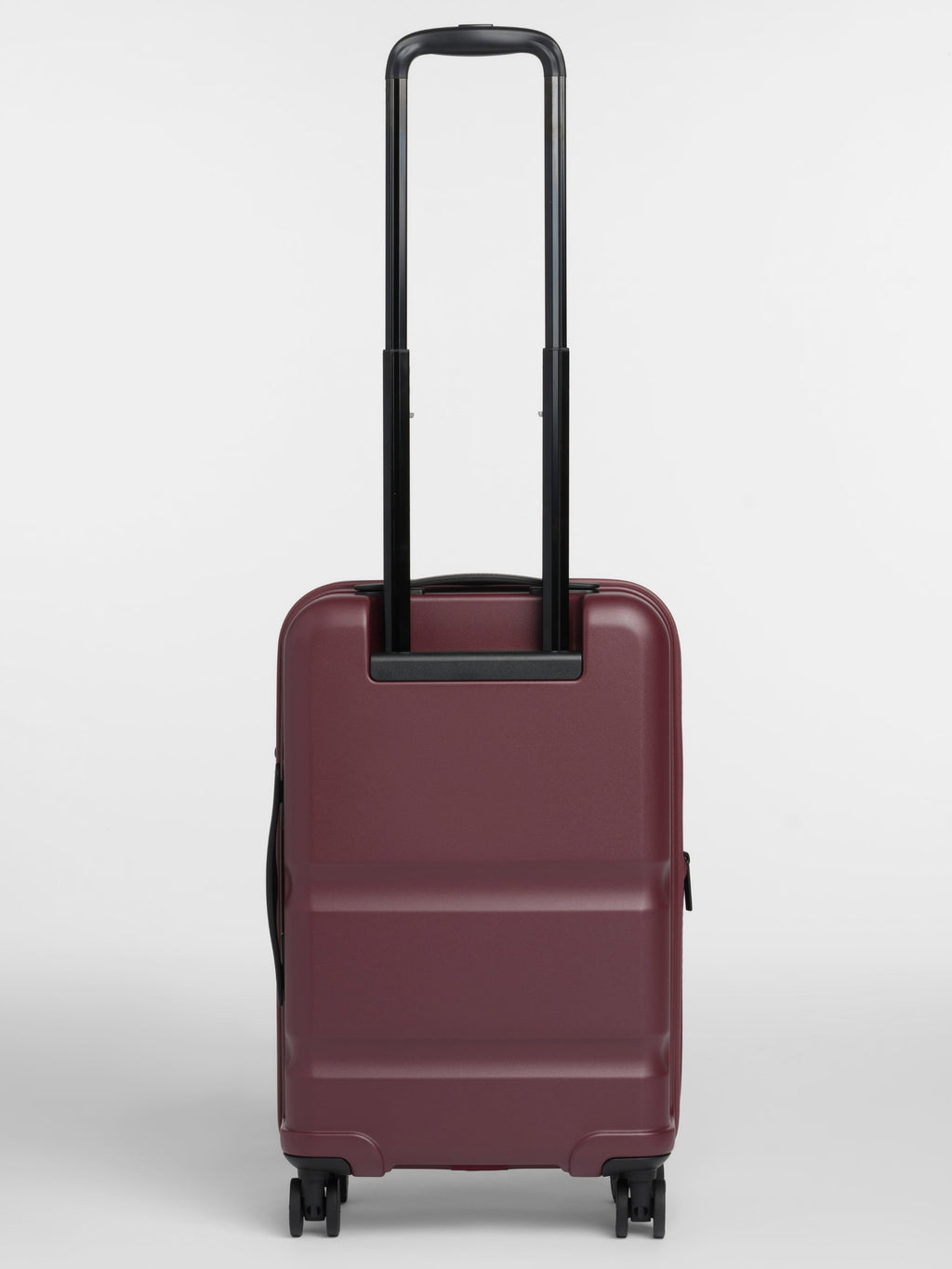 Carry-On Companion Luggage