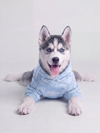 Camo Paw Hoodie