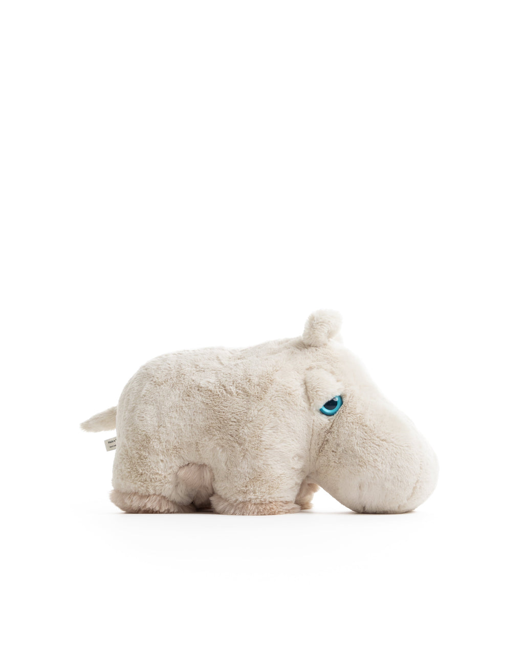 The Hippo