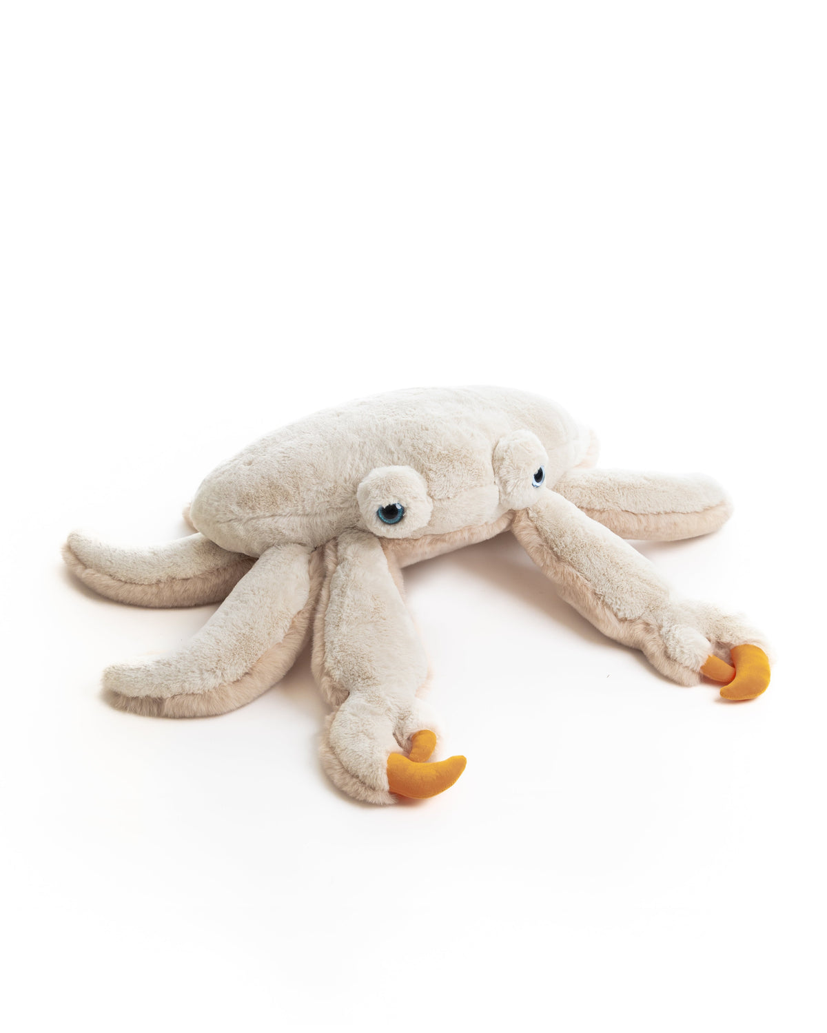 The Crab