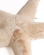 The Starfish