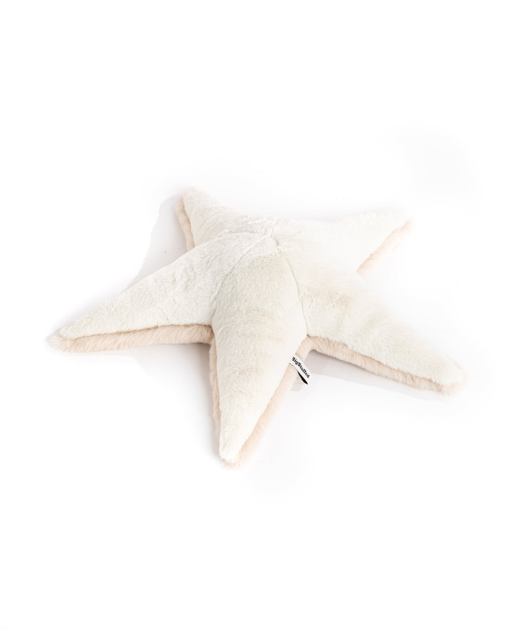 The Starfish