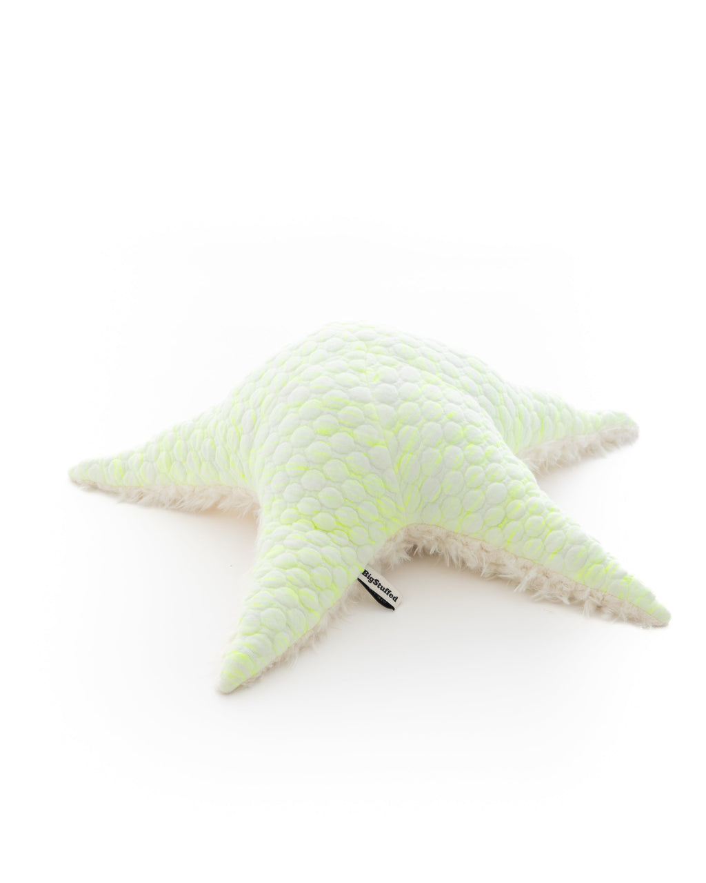 The Starfish